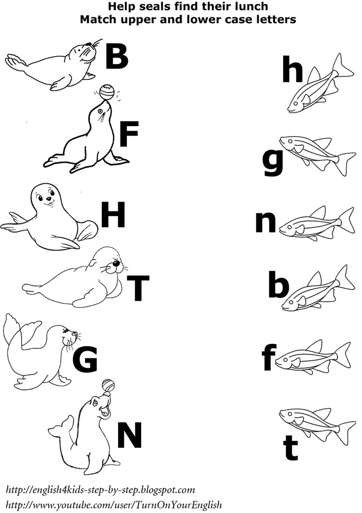 Arctic Animals Activities and Worksheets Image