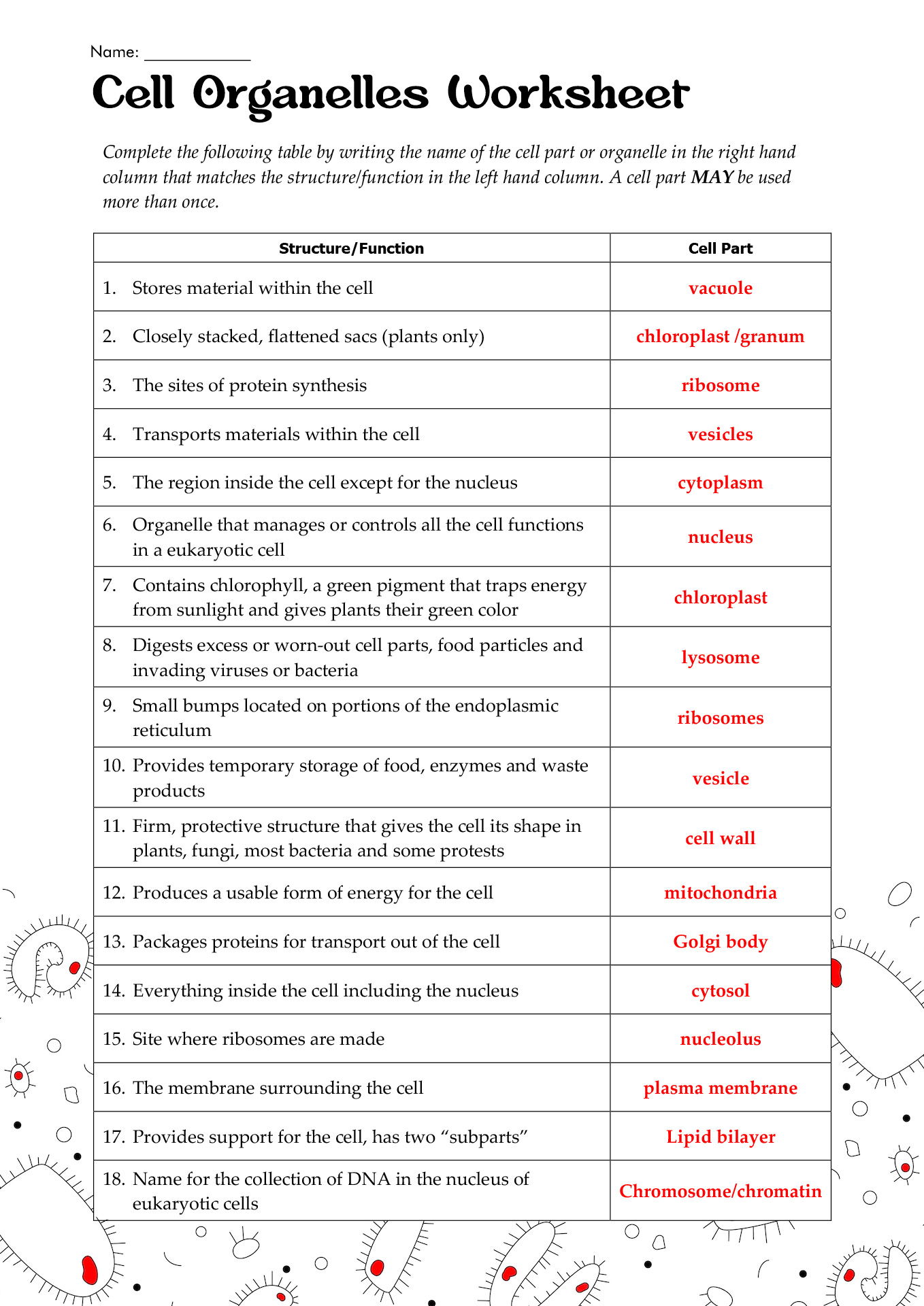 Cell Organelles Worksheet Answers Image