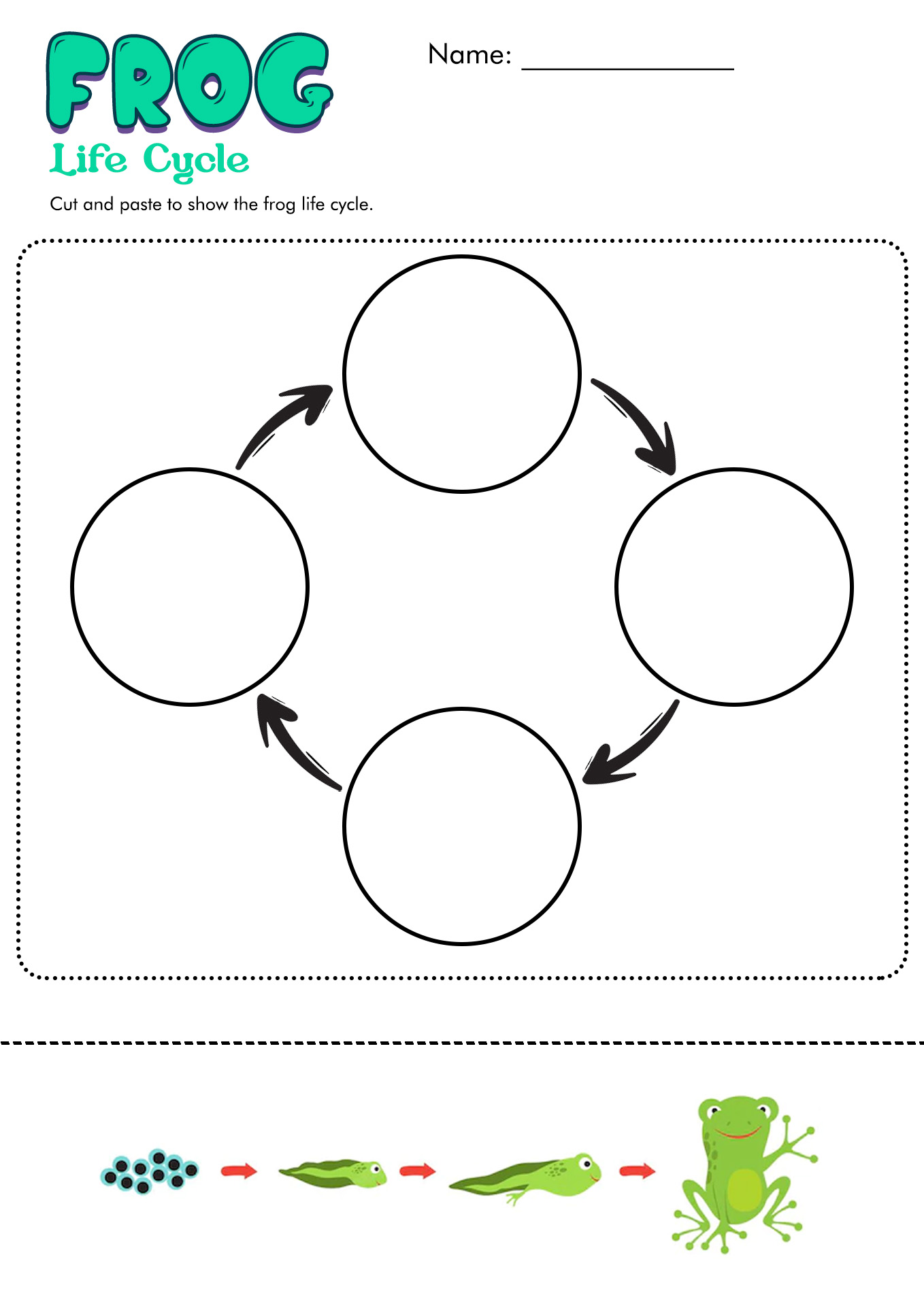14 Animal Research Worksheet Free PDF At Worksheeto