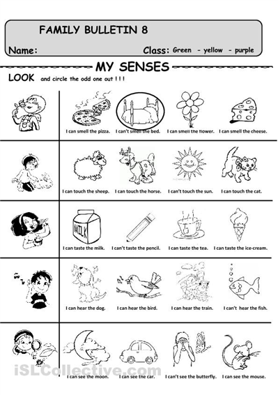 Kindergarten 5 Senses Worksheets Image