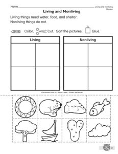 Living and Non-Living Things Worksheets Image