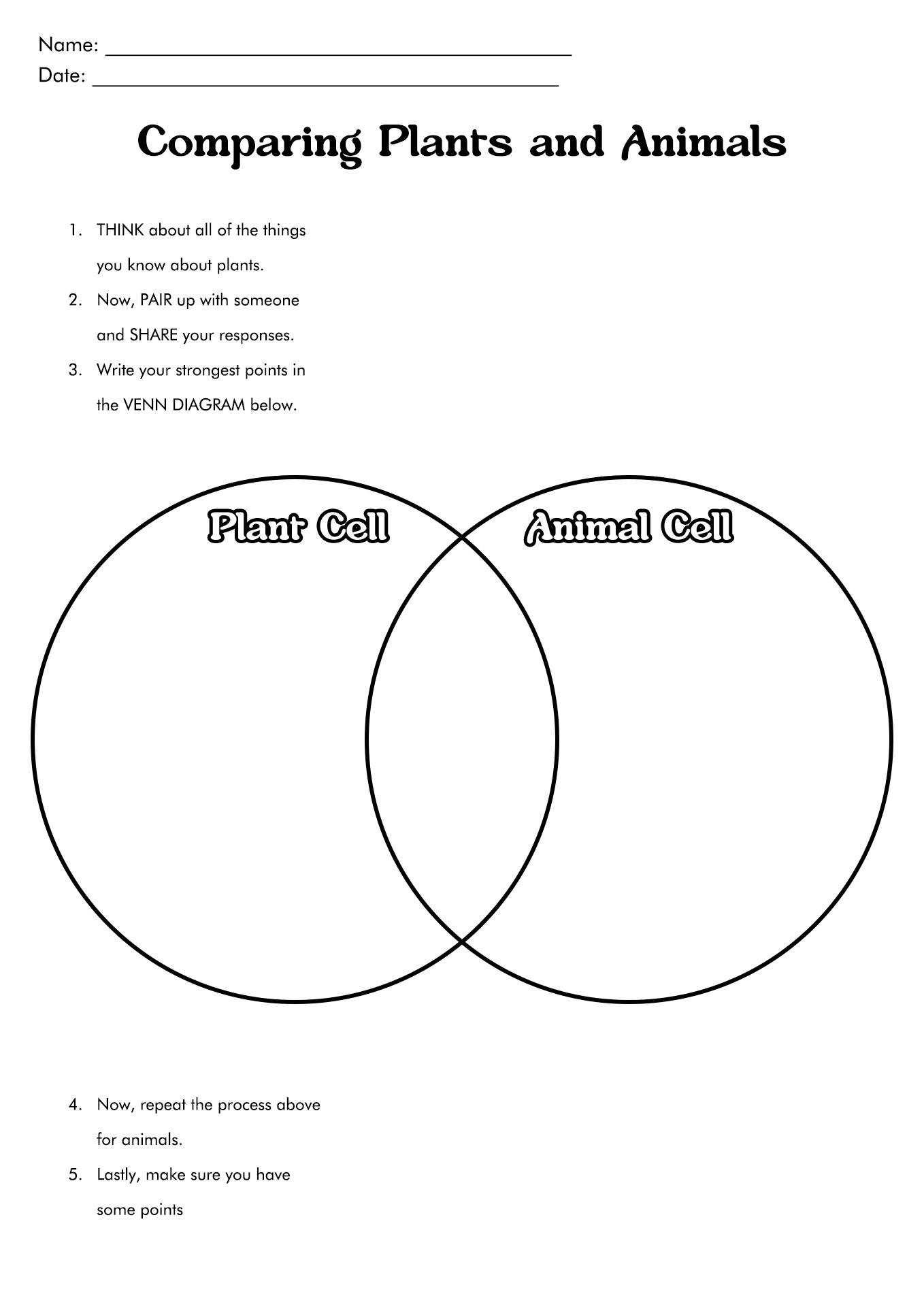 Plant and Animal Cells Graphic Organizer Image
