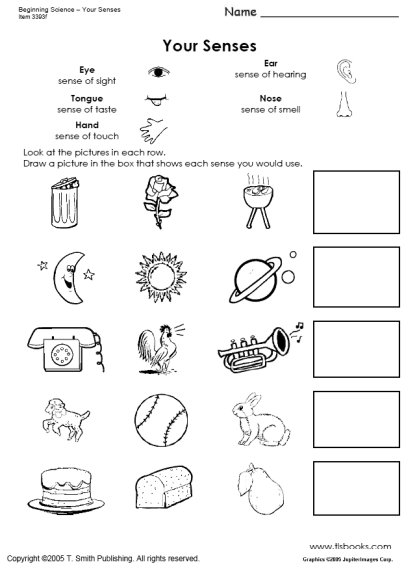Preschool Science Worksheets Senses Image