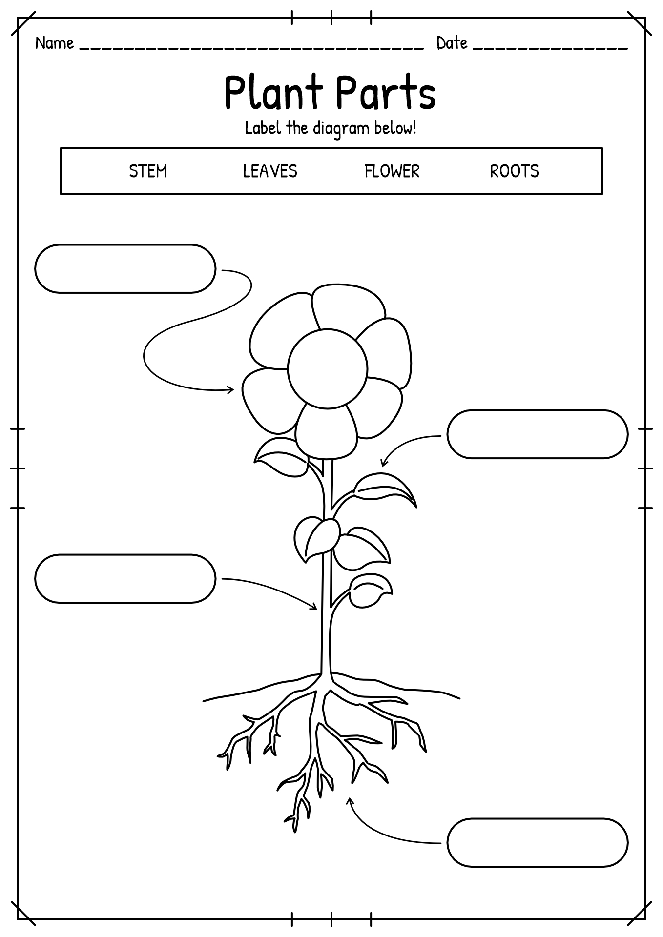 Printable Plant Parts Worksheet