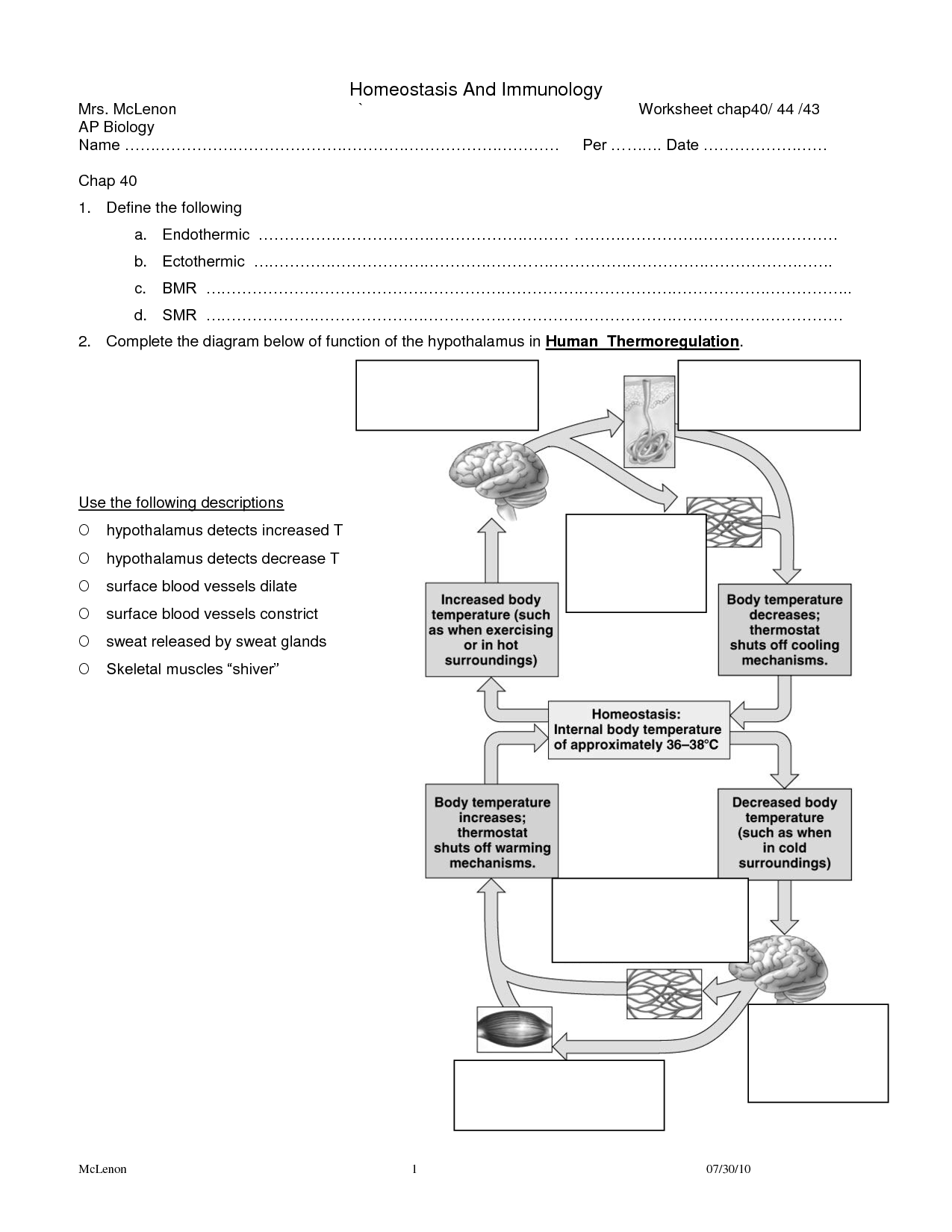 Biology Homeostasis Worksheet Image