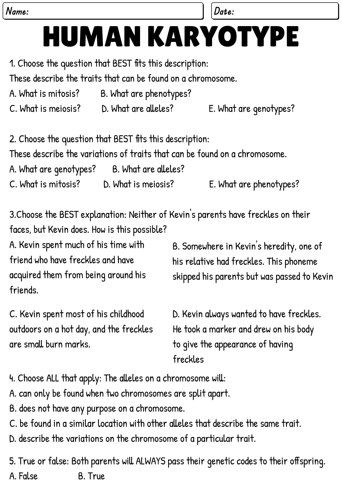 12-karyotype-worksheet-answers-biology-worksheeto