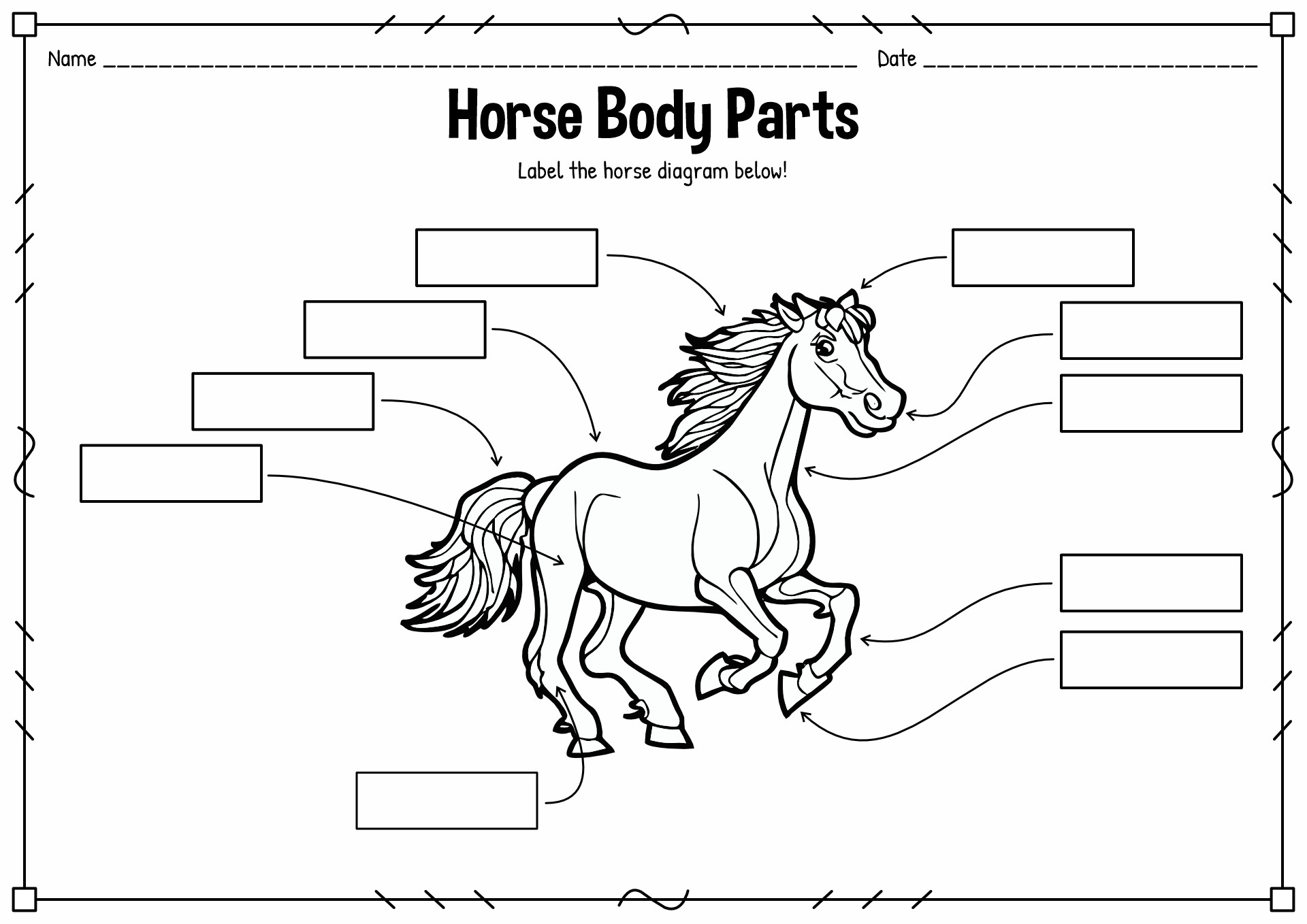Blank Diagram of a Horse Body Parts Image