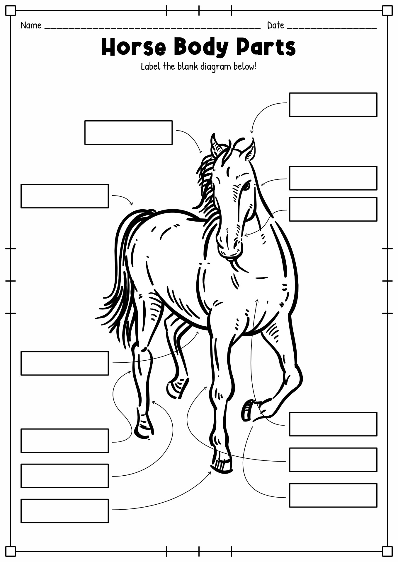 Blank Horse Parts Worksheet
