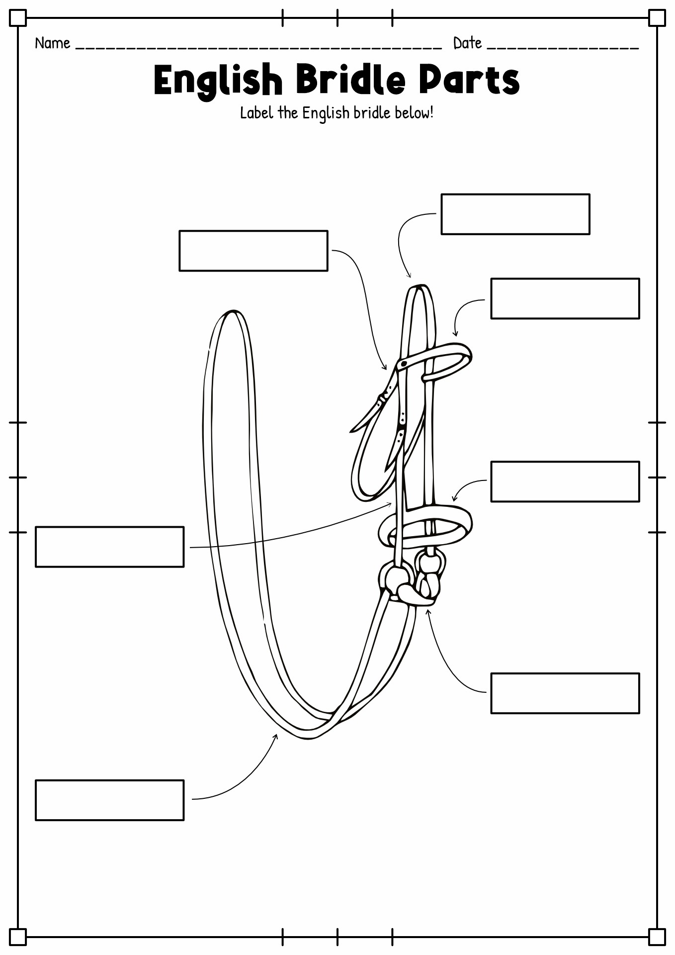 English Bridle Parts Worksheet