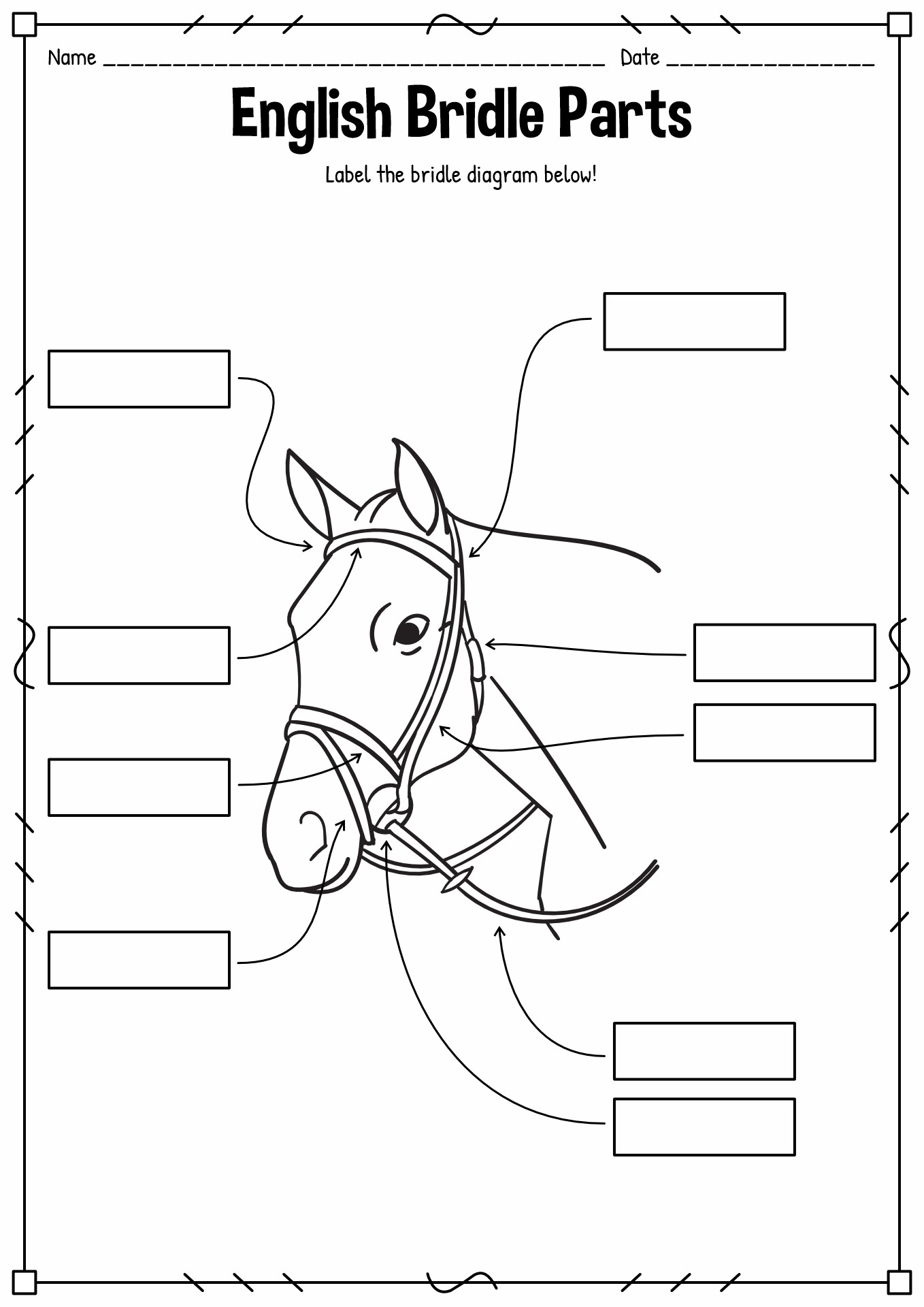 English Bridle Parts Worksheet