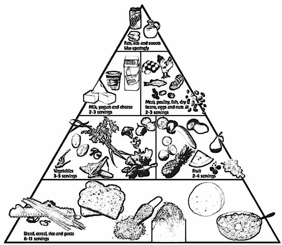 Food Pyramid Coloring Pages Image