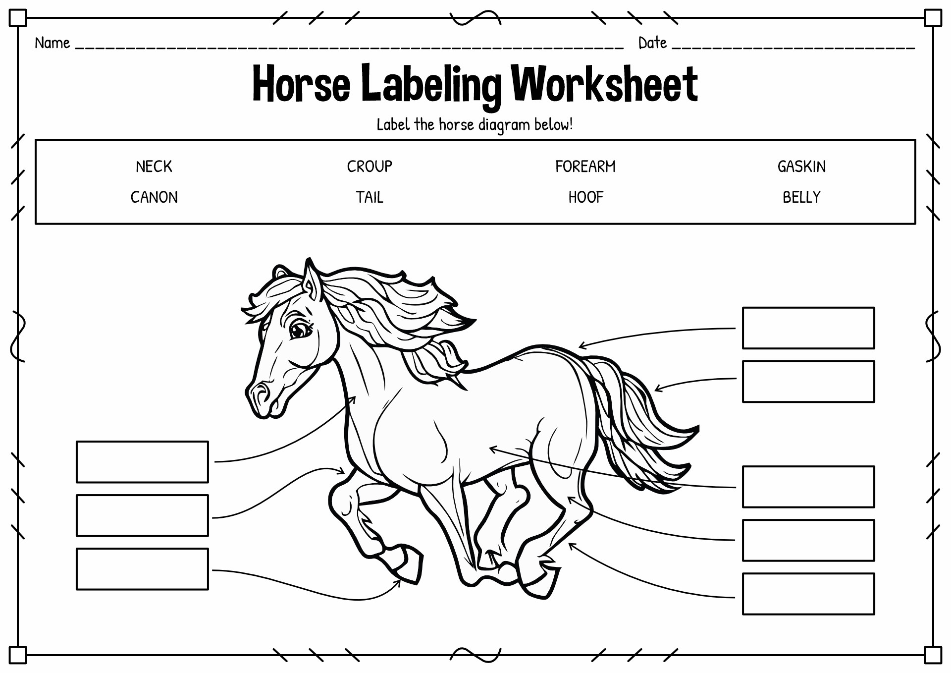 Horse Labeling Worksheet