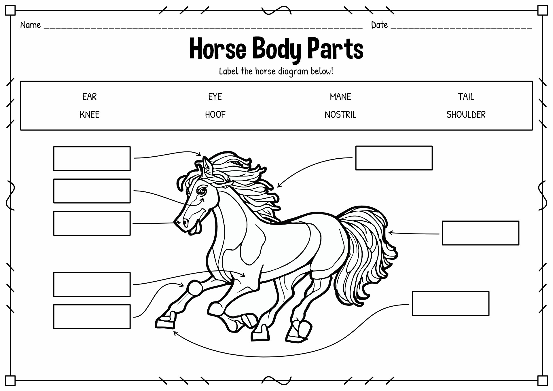 Horse Parts Worksheet Printable Image
