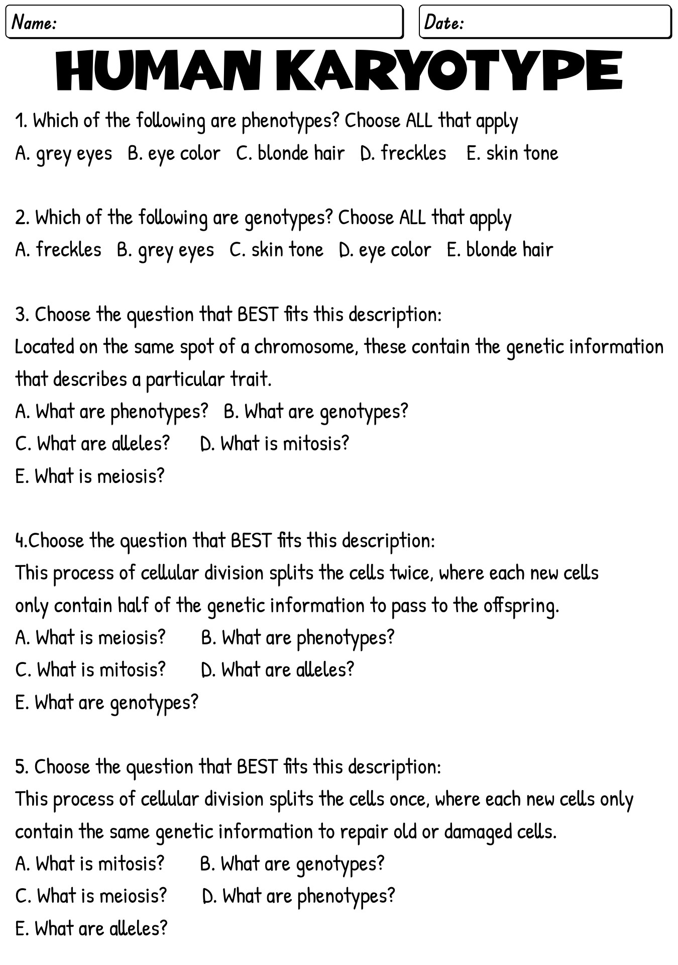 12 Karyotype Worksheet Answers Biology Worksheeto