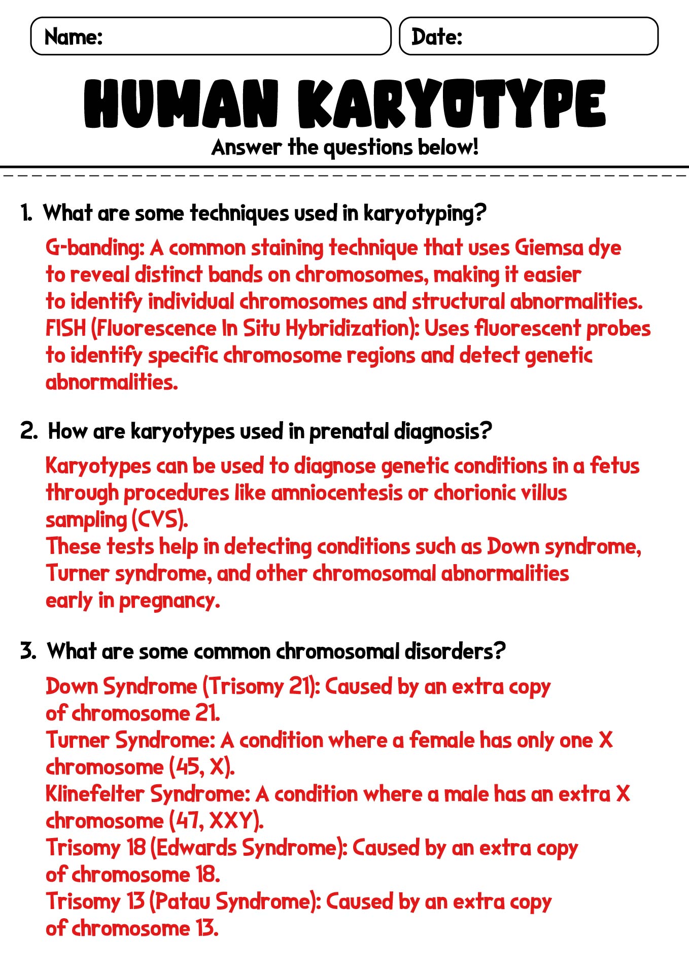 12-karyotype-worksheet-answers-biology-worksheeto