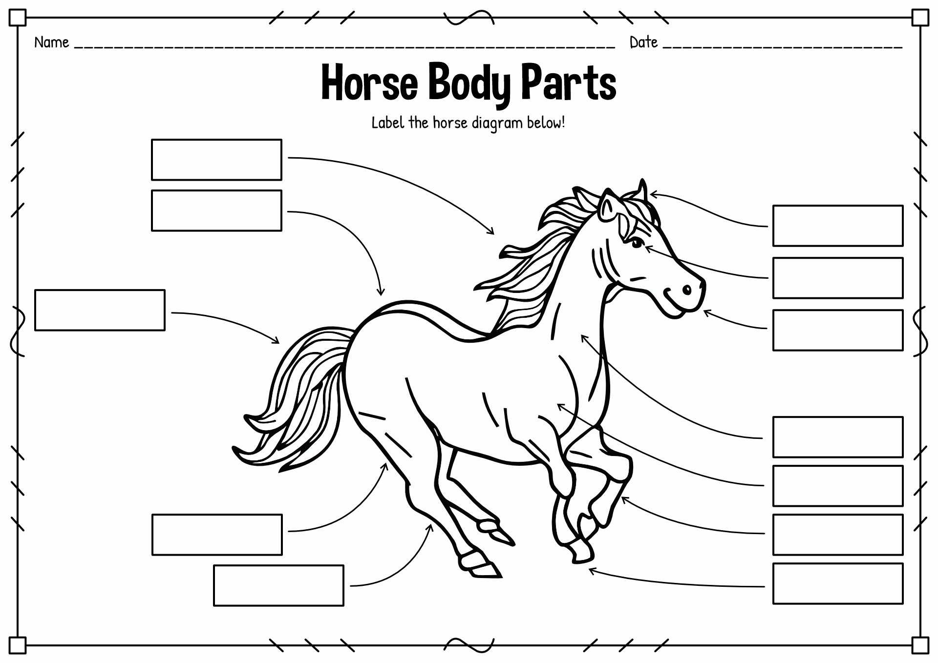 Label the Horse Worksheet