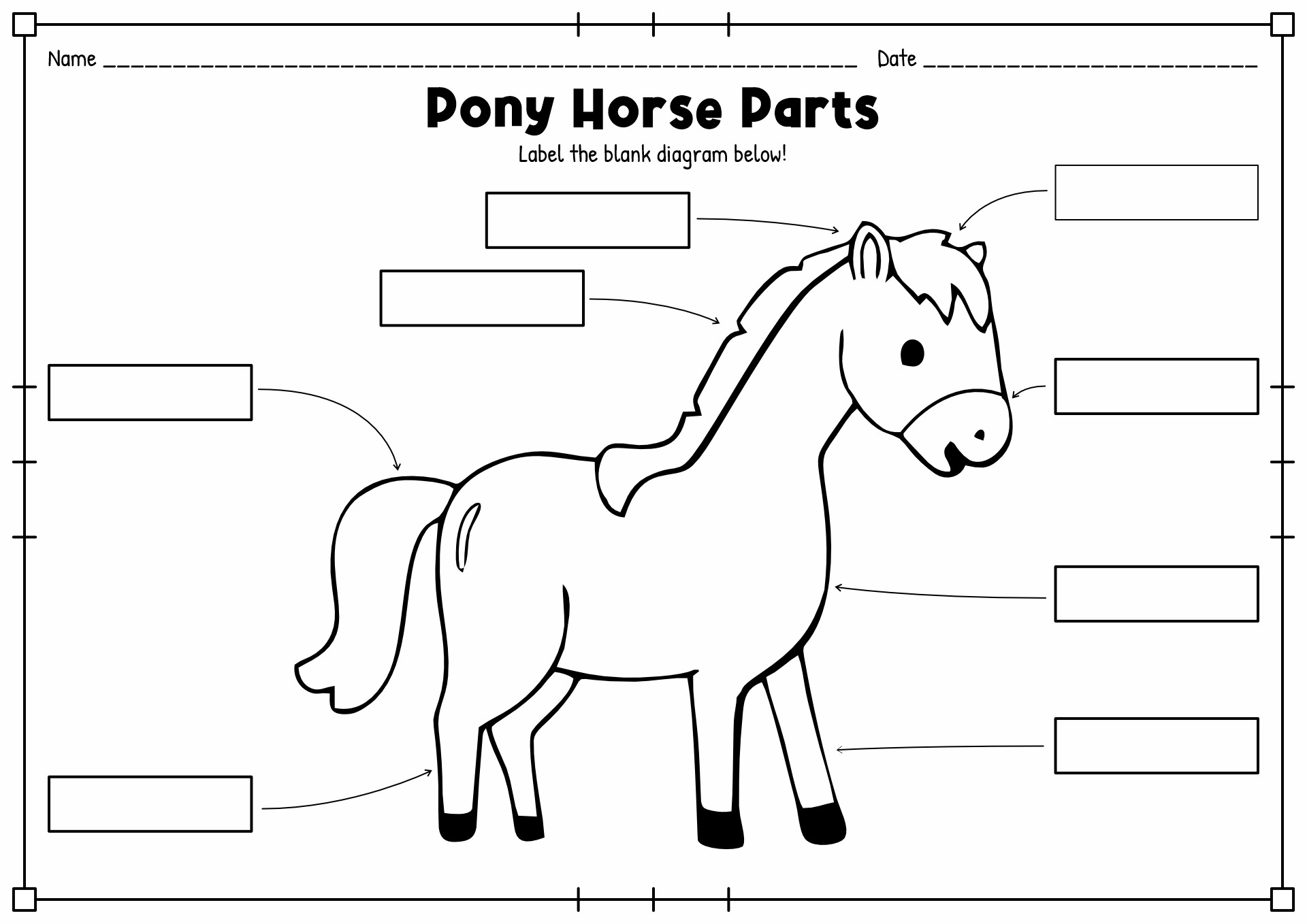 Pony Club Horse Parts