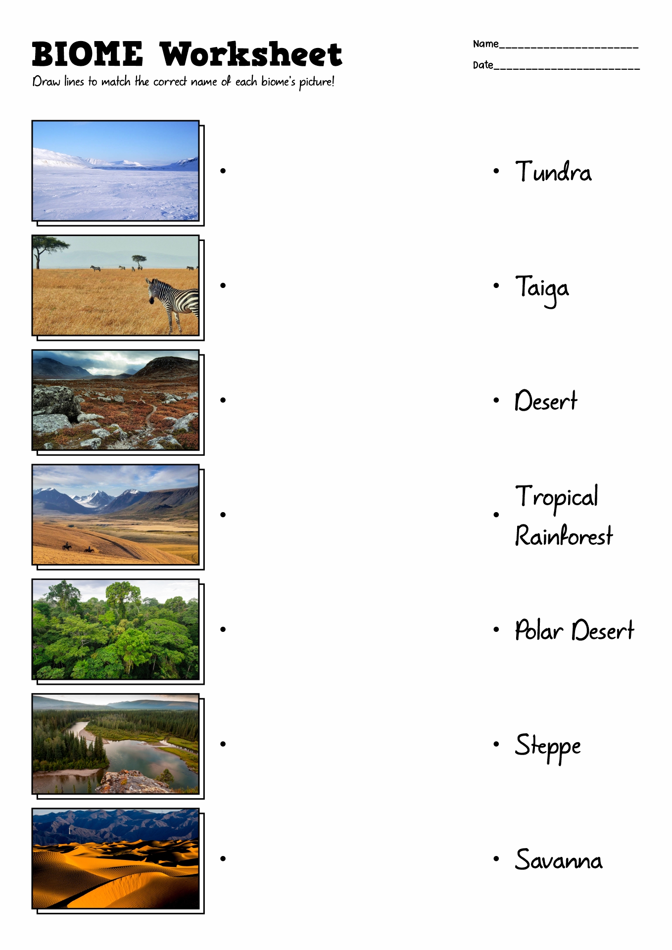 12 Biome Activity Worksheet Free PDF At Worksheeto