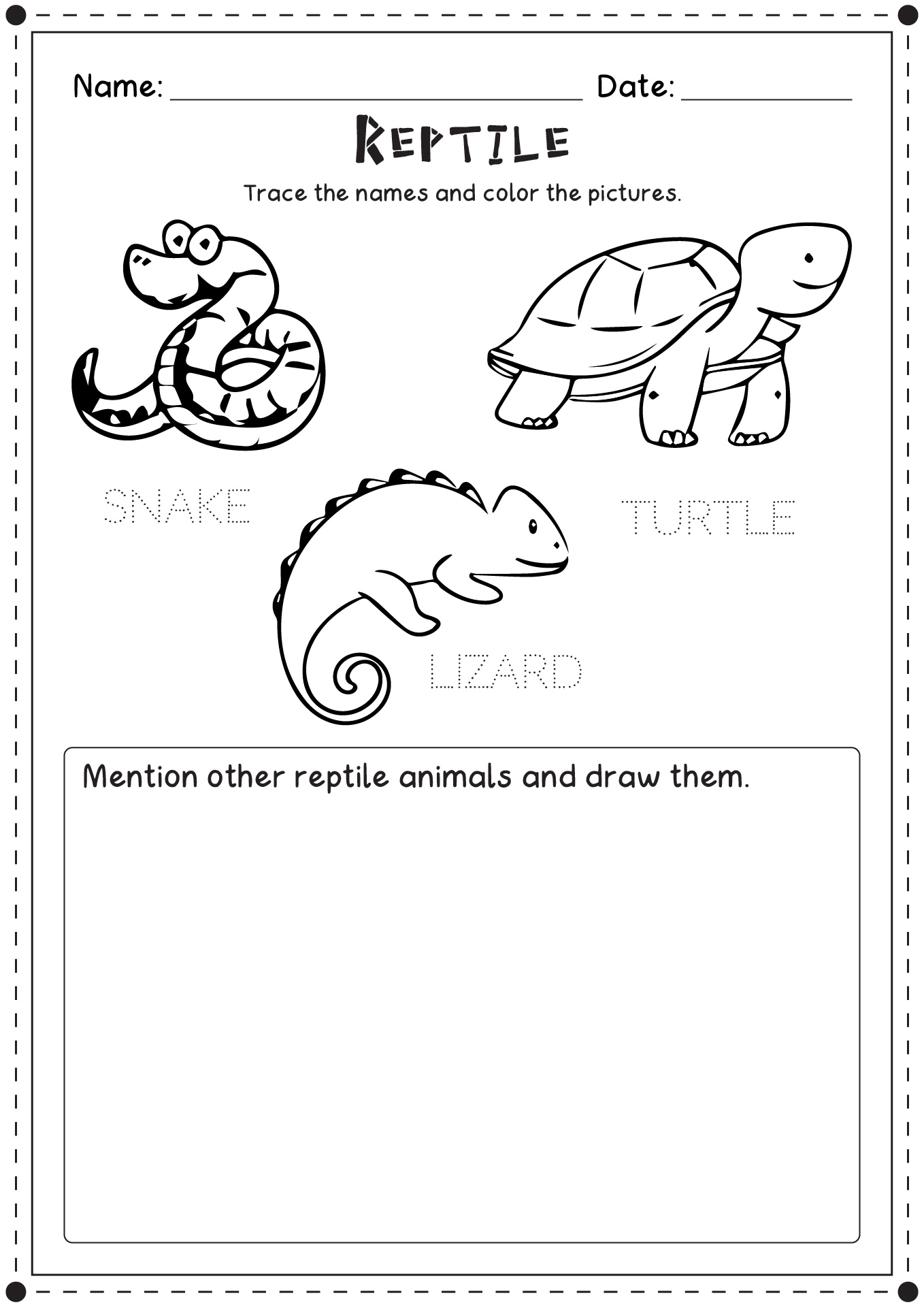 Reptile Worksheets First Grade