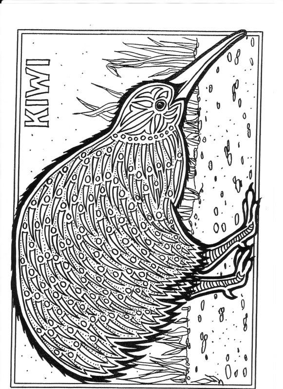 Aboriginal Animal Colouring Pages Image