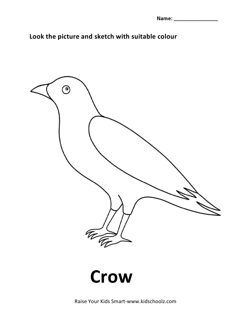16 Bird Parts Worksheet For Preschool Worksheeto 16 Bird Parts Worksheet For Preschool Worksheeto