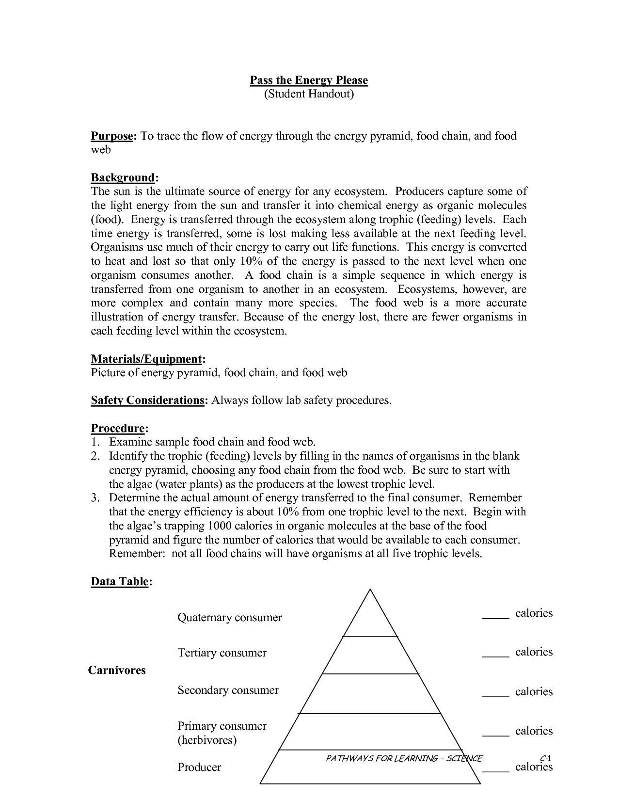 Blank Energy Pyramid Worksheet Image