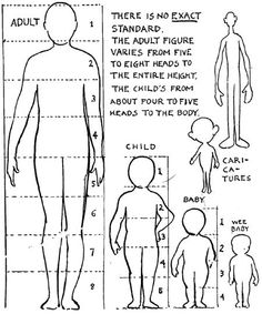 Drawing Human Proportions Image
