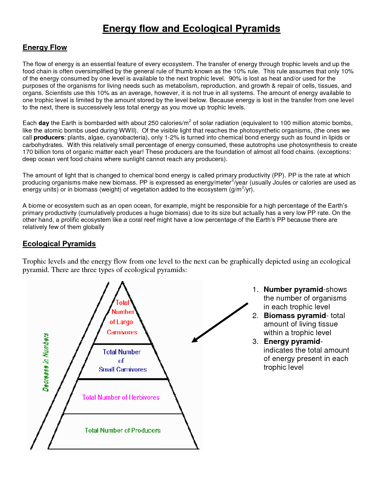 Ecological Energy Pyramid Worksheet Image