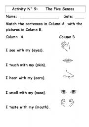 Five Senses Printable Worksheets Image