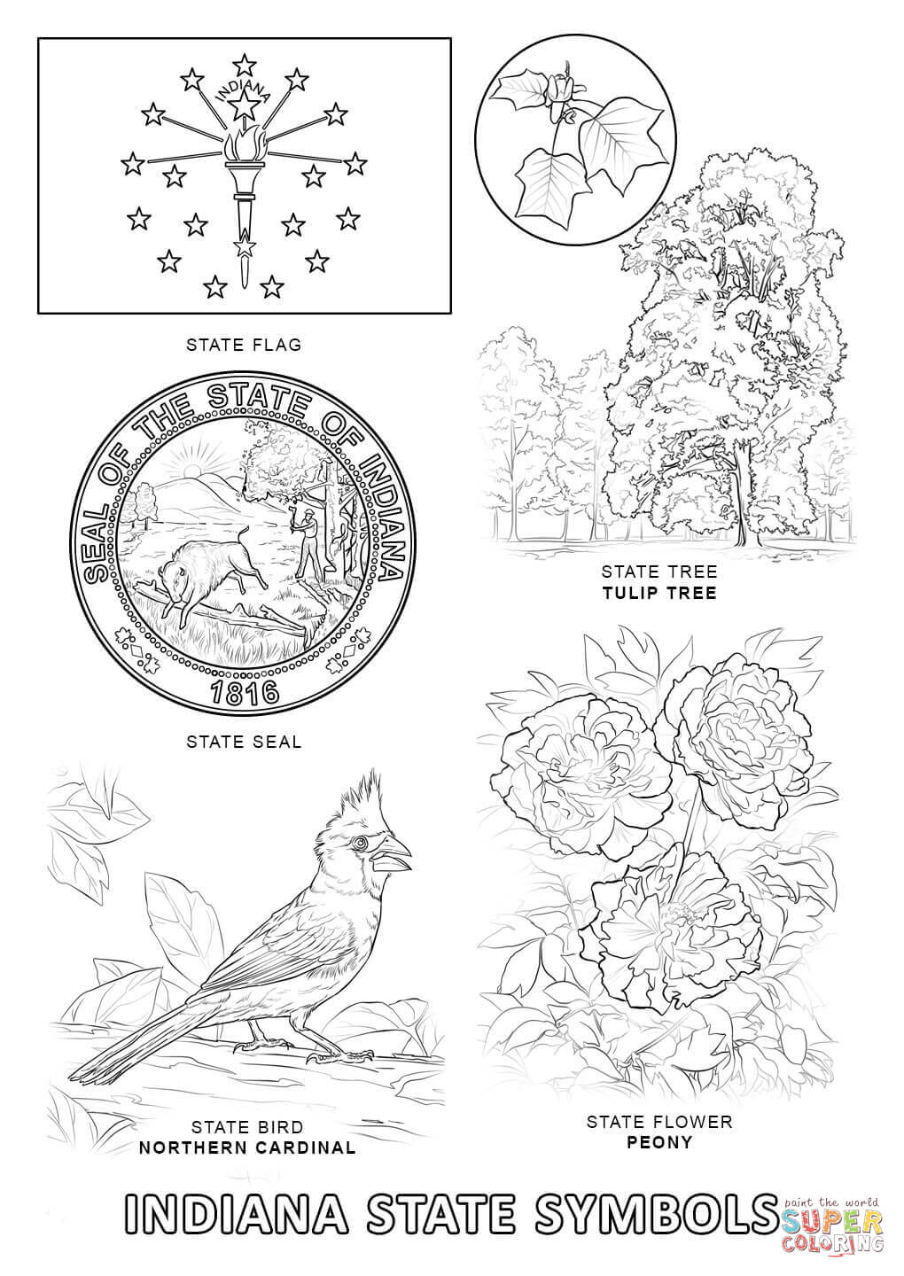 Indiana State Symbols Coloring Pages Image
