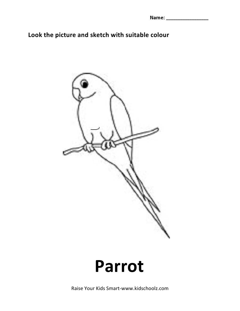 Preschool Bird Worksheets Image