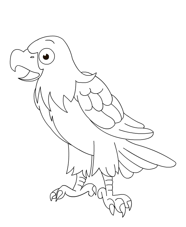 Printable Bird Coloring Worksheets Image