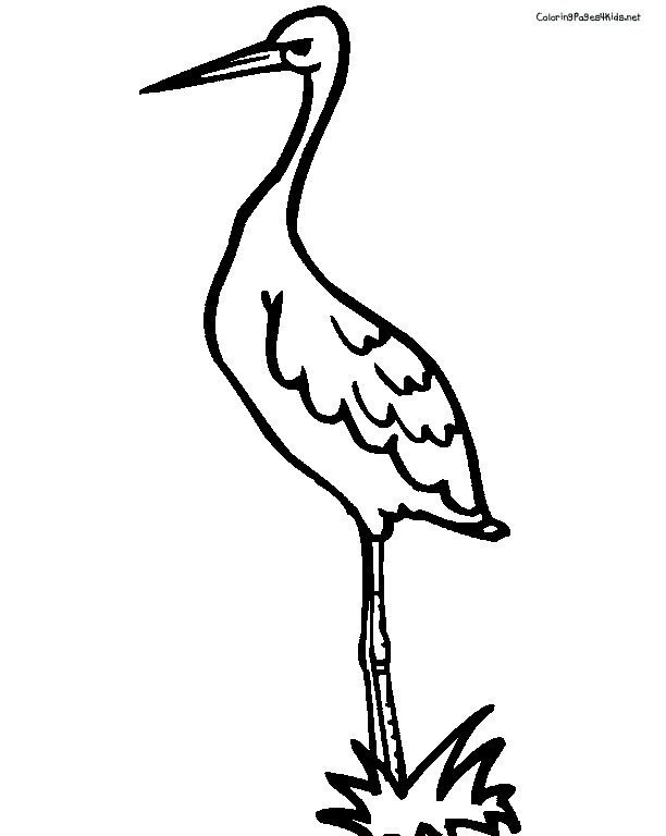 Stork Coloring Pages Image