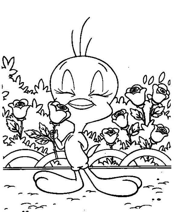 Tweety Bird Coloring Pages Flowers Image