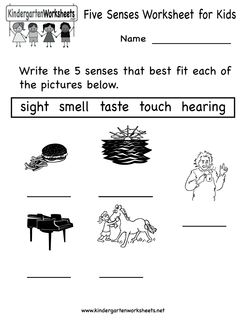 Free Five Senses Worksheet Kindergarten Image