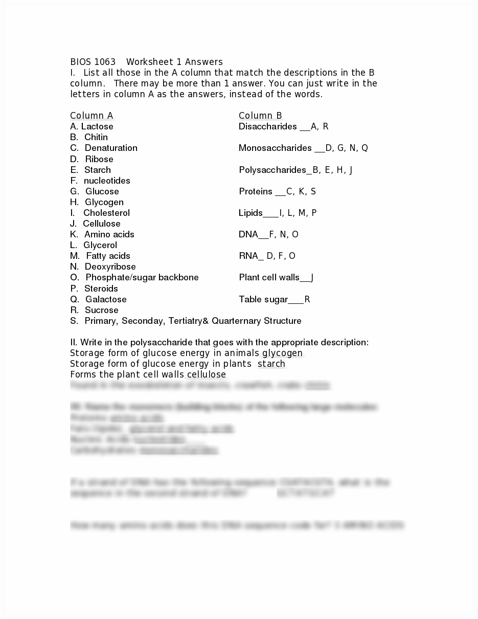 Plant Cell Worksheet Answers Image
