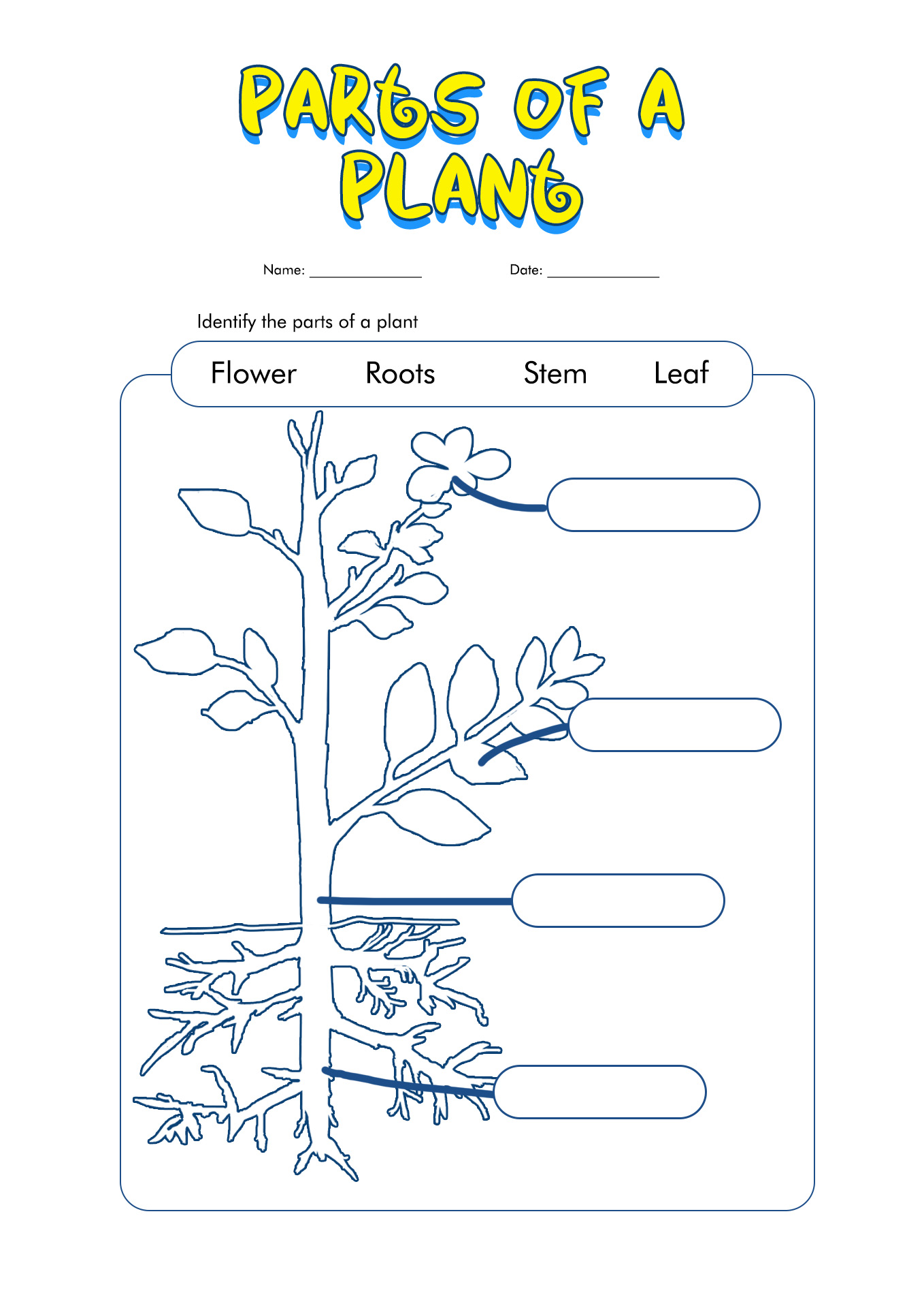 Plant Parts Worksheet 1st Grade Image