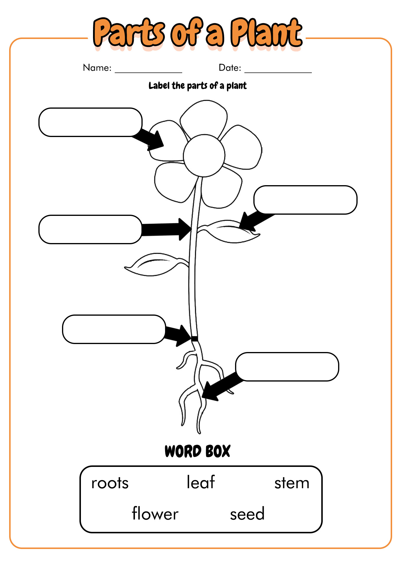 Label And Color The Parts Of A Plant A Free Printable First Grade Image ...