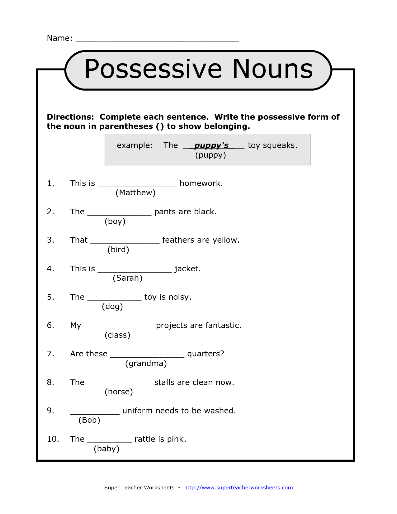 Irregular Possessive Nouns Worksheet