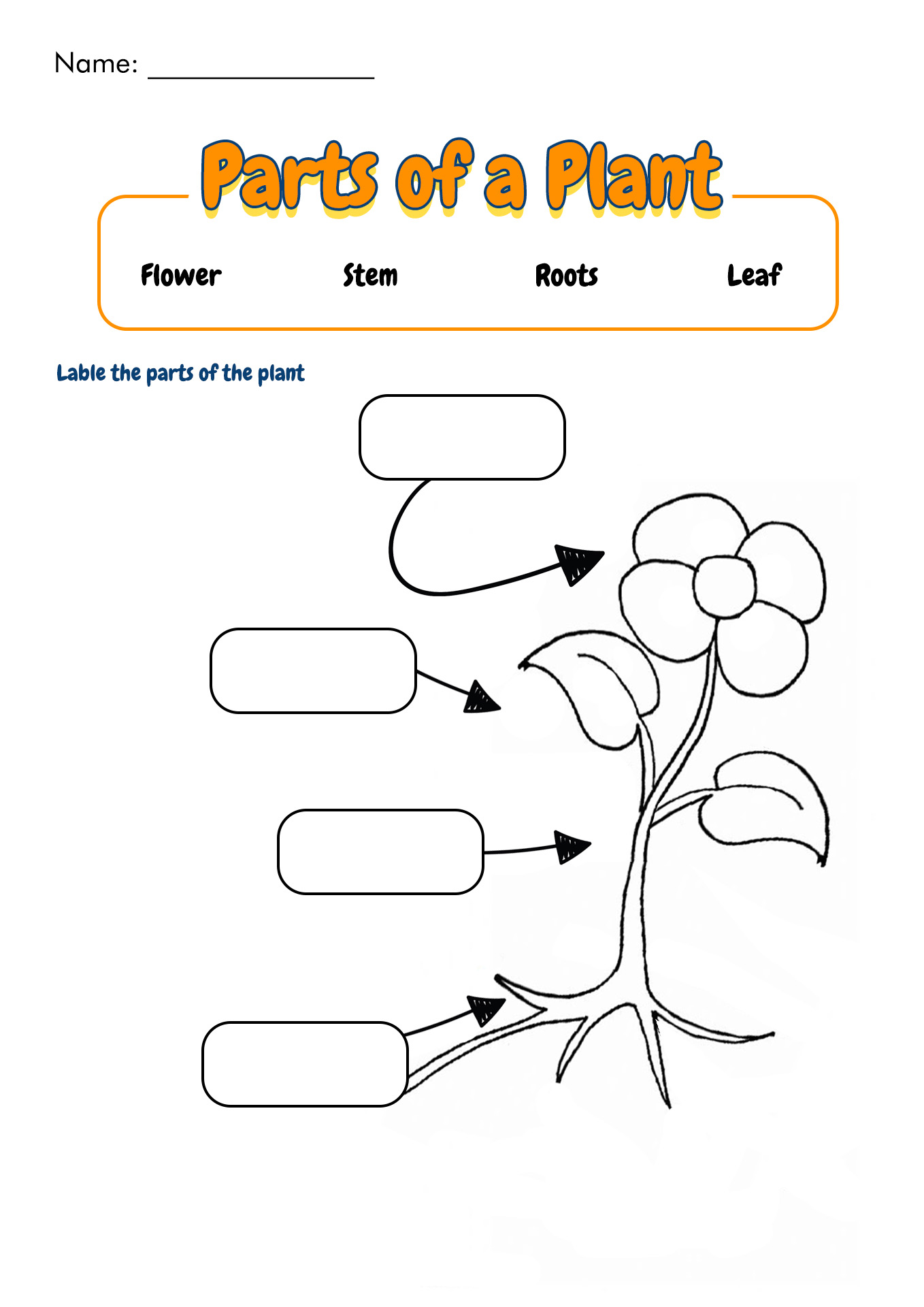 Printable Plant Parts of a Flower Worksheet Image