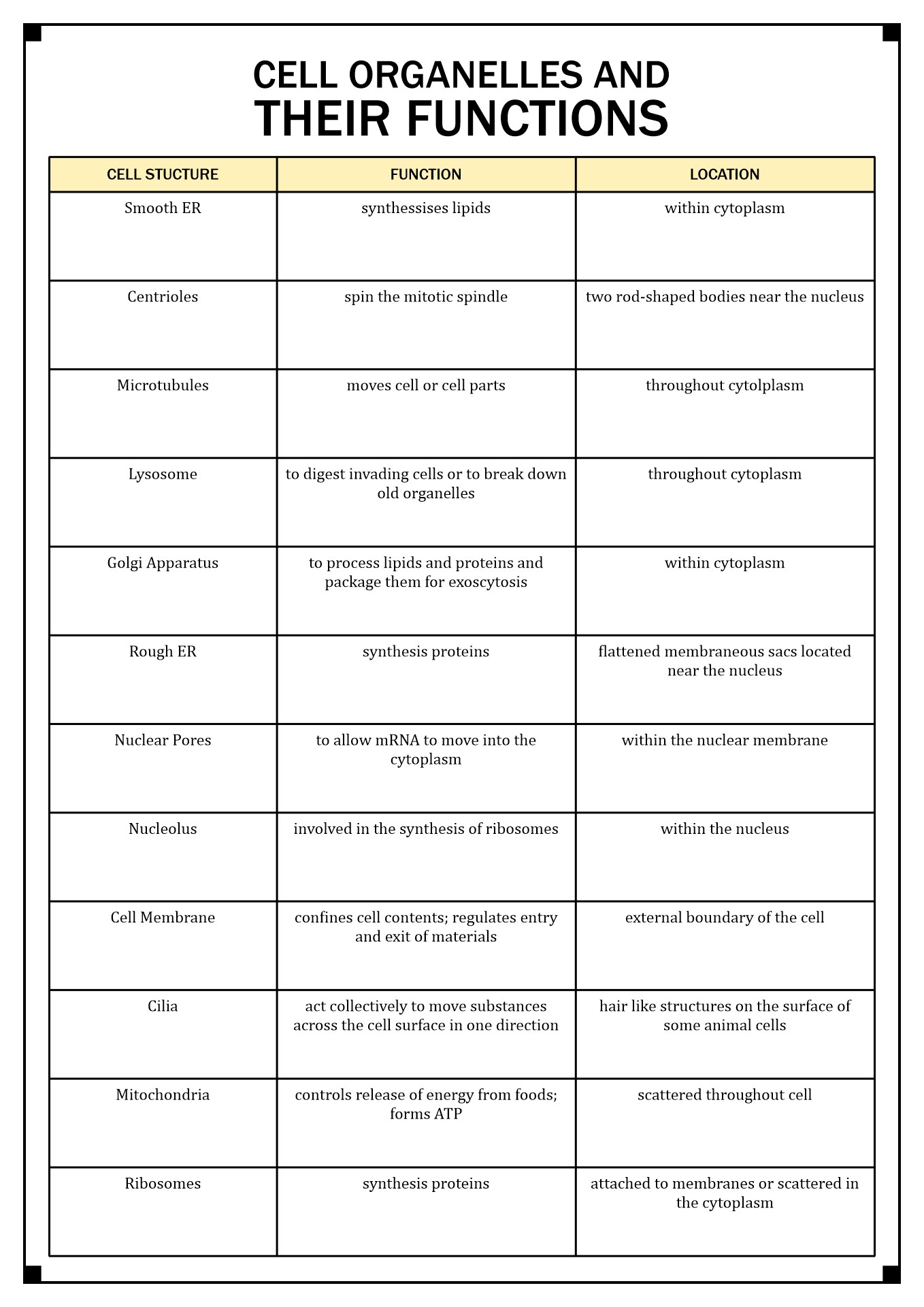 17-cells-and-their-organelles-worksheet-worksheeto