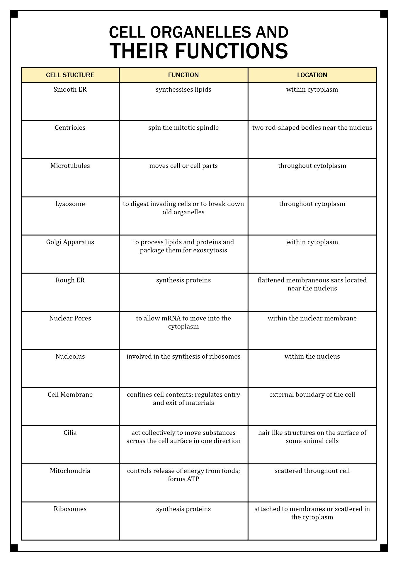 17 Cells And Their Organelles Worksheet Worksheeto