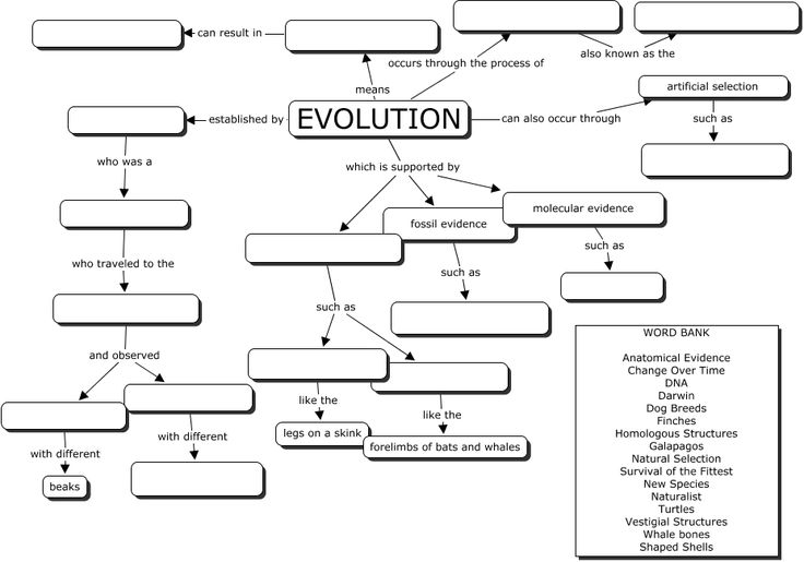Evolution Concept Map Worksheet Image
