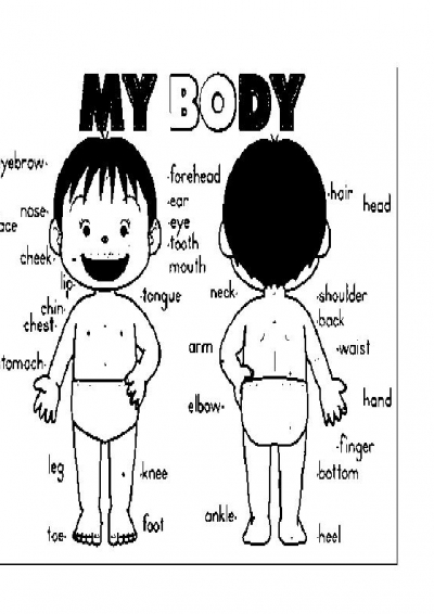 My Body Preschool Coloring Pages Image
