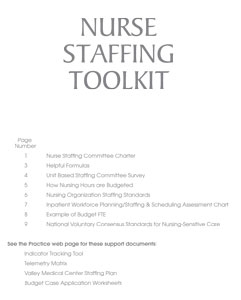 Nursing Staffing Plan Template Image