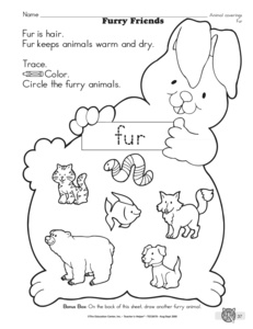 Animal Coverings Worksheets for Kindergarten Image