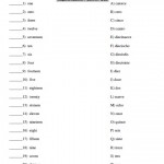 Male Reproductive System Worksheet Image