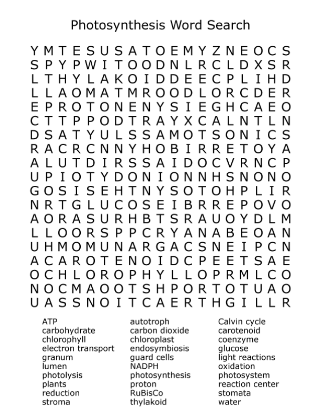 Photosynthesis Word Search Puzzle Answer Key Image