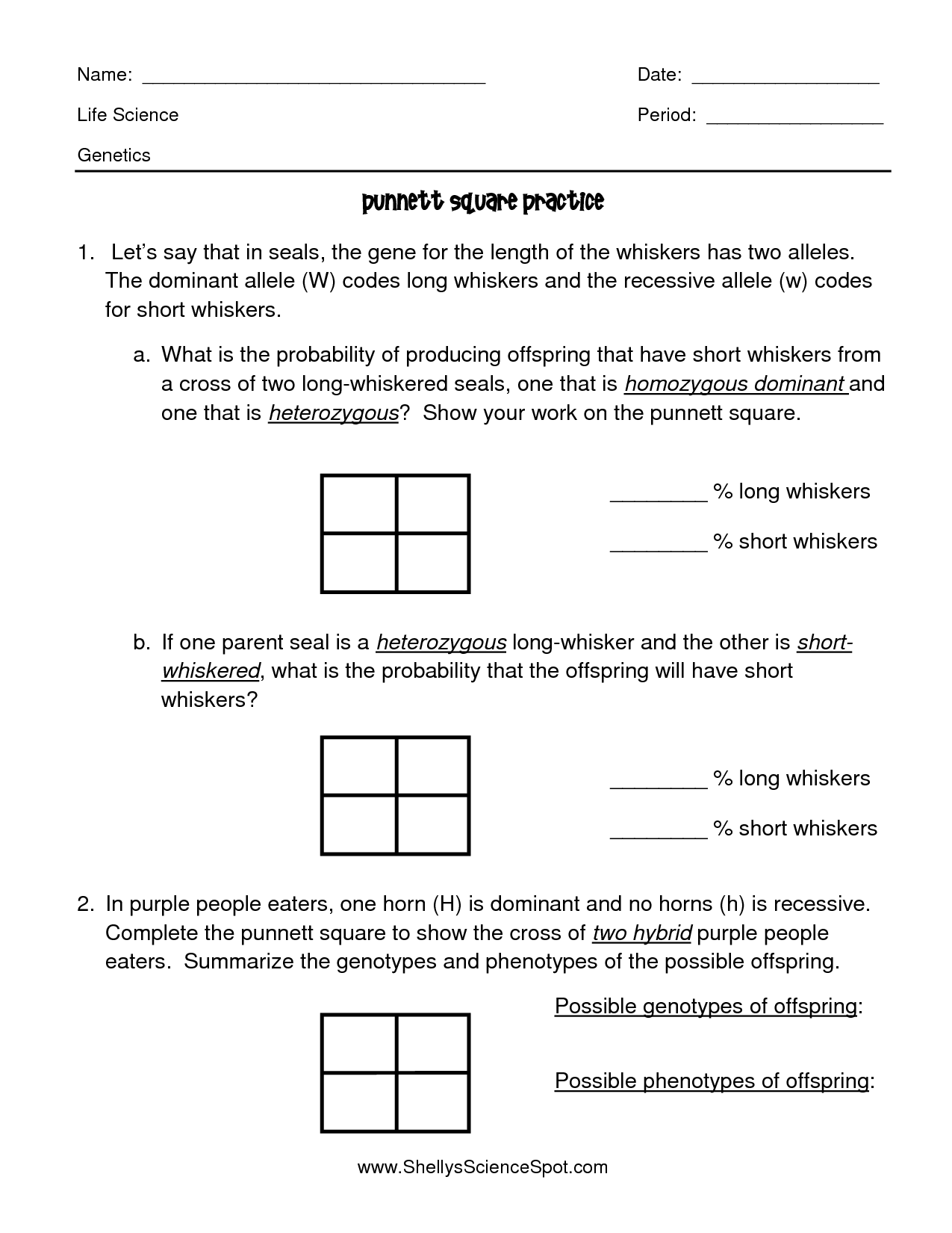 Codominance Punnett Square Worksheet With Answers
