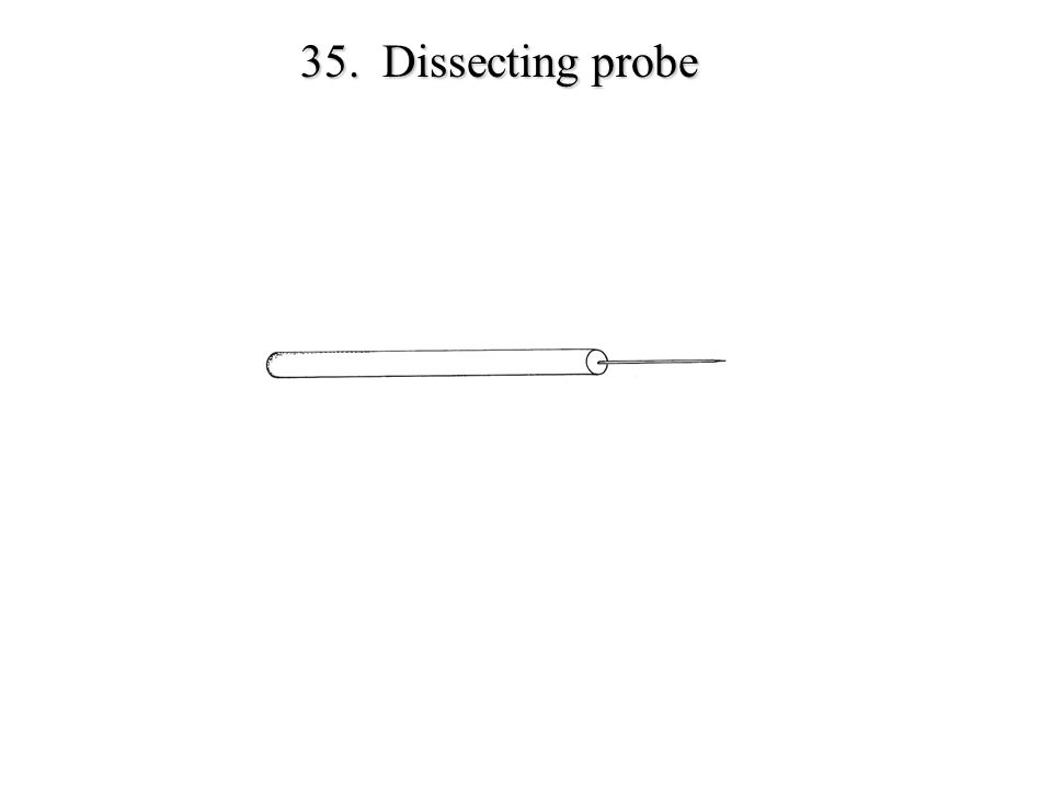 Units of Measurement Metric Ruler